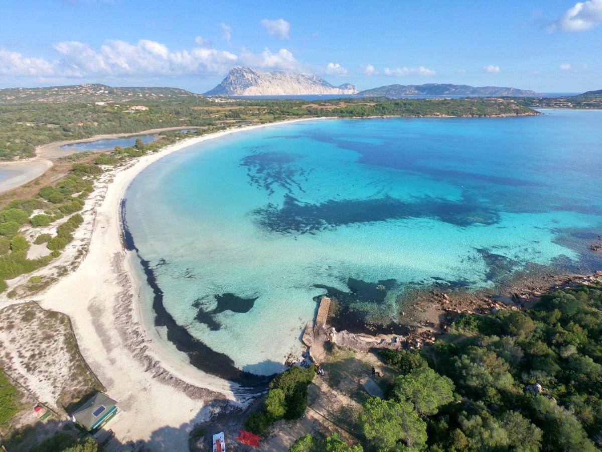 Iss Travel, Ambra Apartments - 800 M From La Cinta Beach سان تيودورو المظهر الخارجي الصورة